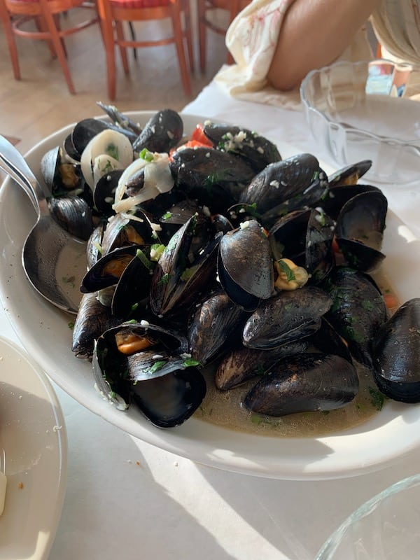 Mussels from Harvest on Fort Pond